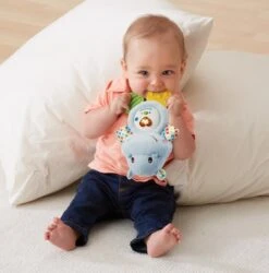 VTech Baby Bijtring Nijlpaardje - Educatief Babyspeelgoed - 0 Tot 24 Maanden -Winkel Voor Babyproducten 1184x1200