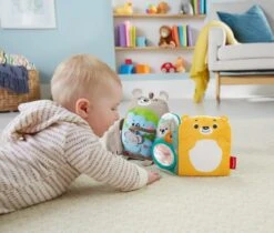 Fisher Price Fisher-Price Knuffelbaar Activiteiten Boekje Baby - Baby Speelgoed -Winkel Voor Babyproducten 1200x1021