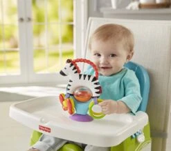 Fisher Price - Activity Zebra - Rammelaar - Speeltje En Bijtring - Grijpspeelgoed -Winkel Voor Babyproducten 1200x1064