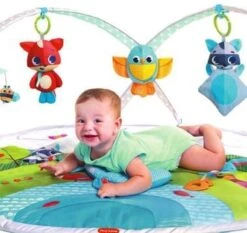 Tiny Love Dynamic Babygym - Meadow Days -Winkel Voor Babyproducten 1200x1134 1