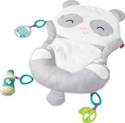 Fisher Price Allesinéén Pandaspeelmat 12 Fisher Price Allesinéén Pandaspeelmat -Winkel Voor Babyproducten 1200x1184 1