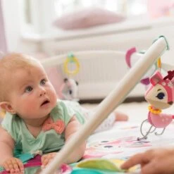 Tiny Love Deluxe Babygym - Princess Tales - Roze -Winkel Voor Babyproducten 1200x1200 166