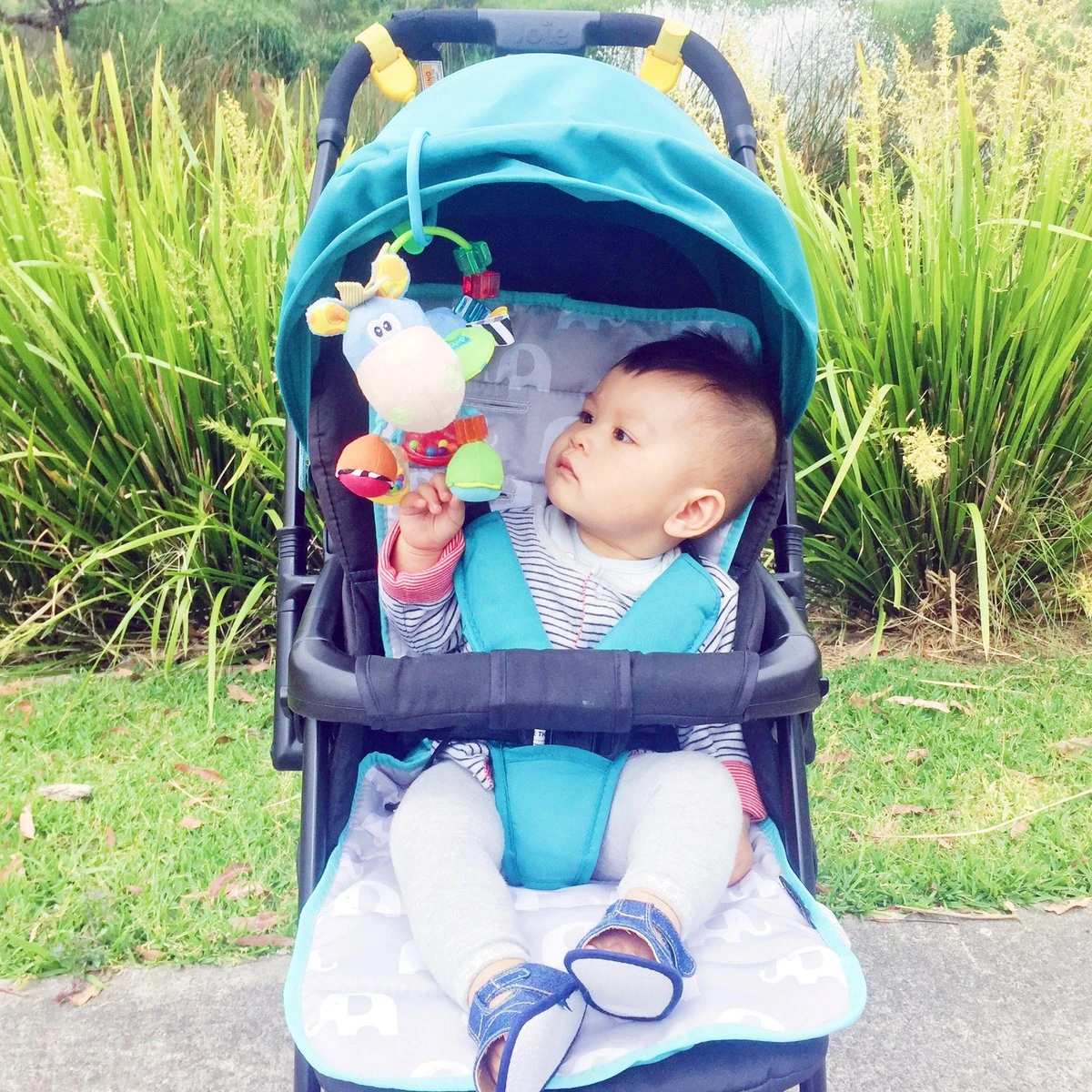 Playgro Clip Clop Rammelaar - Blauw - Activiteitenspeeltje - Kraamkado 5 Playgro Clip Clop Rammelaar - Blauw - Activiteitenspeeltje - Kraamkado - Afbeelding 3