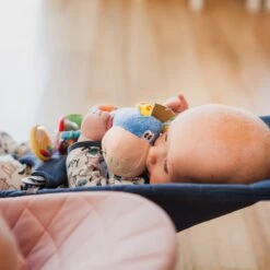 Playgro Clip Clop Rammelaar - Blauw - Activiteitenspeeltje - Kraamkado 25 Playgro Clip Clop Rammelaar - Blauw - Activiteitenspeeltje - Kraamkado -Winkel Voor Babyproducten 1200x1200 199