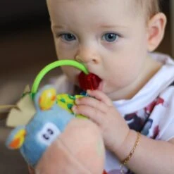 Playgro Clip Clop Rammelaar - Blauw - Activiteitenspeeltje - Kraamkado 27 Playgro Clip Clop Rammelaar - Blauw - Activiteitenspeeltje - Kraamkado -Winkel Voor Babyproducten 1200x1200 201