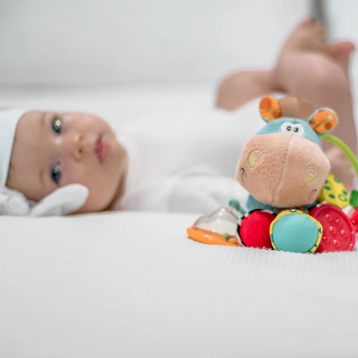 Playgro Clip Clop Rammelaar - Blauw - Activiteitenspeeltje - Kraamkado 14 Playgro Clip Clop Rammelaar - Blauw - Activiteitenspeeltje - Kraamkado - Afbeelding 12