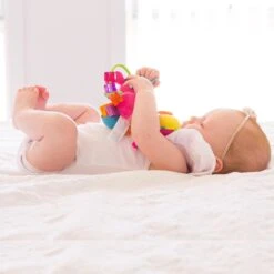 Playgro Clip Clop Rammelaar - Roze - Activiteitenspeeltje - Kraamkado -Winkel Voor Babyproducten 1200x1200 204