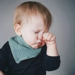 7 Stuks Hydrofiele Bandana Slabbetjes - Blauw - Groen - Wit - Grijs -Winkel Voor Babyproducten 1200x1200 725