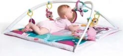 Tiny Love Deluxe Babygym - Princess Tales - Roze -Winkel Voor Babyproducten 1200x549