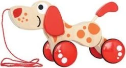 Hape Walk-a-long Puppy 25 Hape Walk-a-long Puppy -Winkel Voor Babyproducten 1200x649