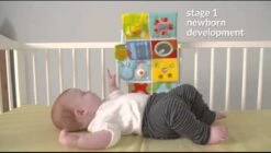 Taf Toys Activity Center Voor Aan De Box, Campingbed Of Los Te Gebruiken, Met Muziek En Licht – 0 Tot 24 Maanden -Winkel Voor Babyproducten 1200x682 1