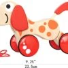 Hape Walk-a-long Puppy -Winkel Voor Babyproducten 1200x682