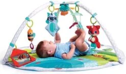 Tiny Love Dynamic Babygym - Meadow Days -Winkel Voor Babyproducten 1200x702