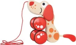 Hape Walk-a-long Puppy 20 Hape Walk-a-long Puppy -Winkel Voor Babyproducten 1200x720