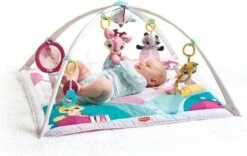 Tiny Love Deluxe Babygym - Princess Tales - Roze -Winkel Voor Babyproducten 1200x759