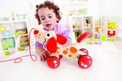 Hape Walk-a-long Puppy 16 Hape Walk-a-long Puppy -Winkel Voor Babyproducten 1200x799 3