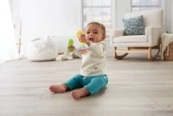 Fisher Price Fisher-Price Maracas - Rammelaar -Winkel Voor Babyproducten 1200x800 13