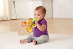 VTech Baby Brul & Speel Rammelaar - Educatief Babyspeelgoed - Bijtring - 3 Tot 24 Maanden -Winkel Voor Babyproducten 1200x801
