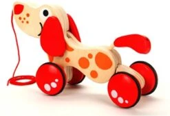 Hape Walk-a-long Puppy 23 Hape Walk-a-long Puppy -Winkel Voor Babyproducten 1200x820 1