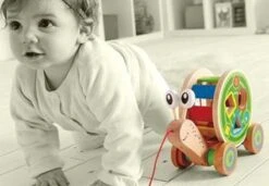 Hape Houten Walk-A-Long Slak Trekdier -Winkel Voor Babyproducten 1200x829