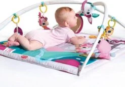 Tiny Love Deluxe Babygym - Princess Tales - Roze -Winkel Voor Babyproducten 1200x831 2