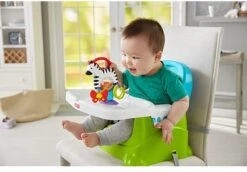 Fisher Price - Activity Zebra - Rammelaar - Speeltje En Bijtring - Grijpspeelgoed -Winkel Voor Babyproducten 1200x835