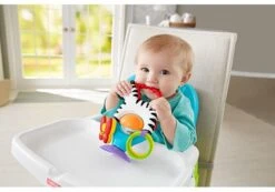 Fisher Price - Activity Zebra - Rammelaar - Speeltje En Bijtring - Grijpspeelgoed -Winkel Voor Babyproducten 1200x842 1