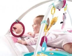 Tiny Love Deluxe Babygym - Princess Tales - Roze -Winkel Voor Babyproducten 1200x942 1