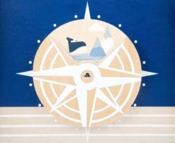 Baby Walvis Loopwagen - Houten Speelgoed Vanaf 1 Jaar -Winkel Voor Babyproducten 1200x976