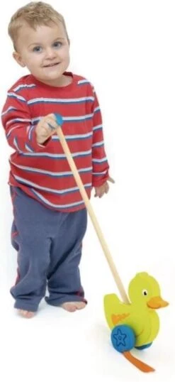 Duwstok - Eend -Winkel Voor Babyproducten 551x1200