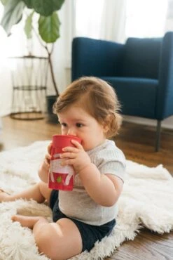 Dr. Brown's Dr Brown's - Cheers 360° Drinkbeker - 9+ Maanden - Rood - 300ml -Winkel Voor Babyproducten 801x1200 16