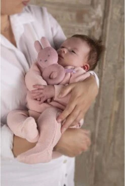 Nijntje - Rammelaar - Pink Baby Rib - 0+ Maanden -Winkel Voor Babyproducten 810x1200