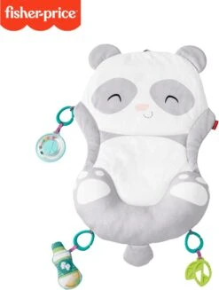 Fisher Price Allesinéén Pandaspeelmat 17 Fisher Price Allesinéén Pandaspeelmat -Winkel Voor Babyproducten 906x1200