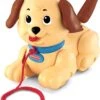 Fisher Price Fisher-Price Kleine Snoopy - Trekdiertje -Winkel Voor Babyproducten 961x1200